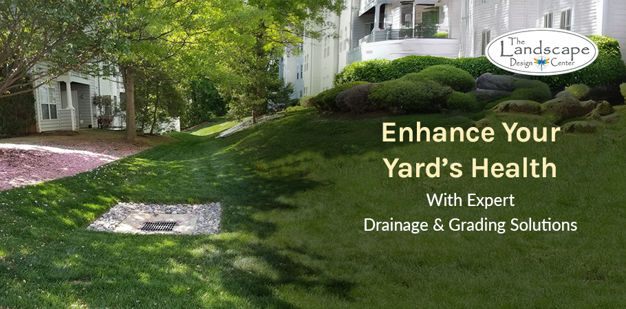 Transform Your Yard with Proper Grading and Drainage