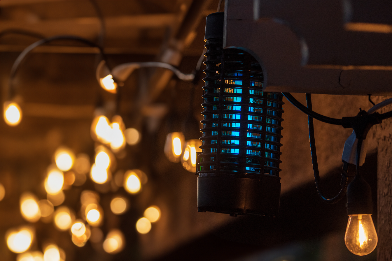 Are Mosquitoes Attracted To Light? Exploring Insect Behavior - Bug Domain inside How to choose the right porch light color to deter mosquitoes and moths