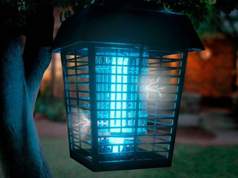 Are Mosquitoes Attracted To Light throughout How To Keep Bugs Away From Porch Light