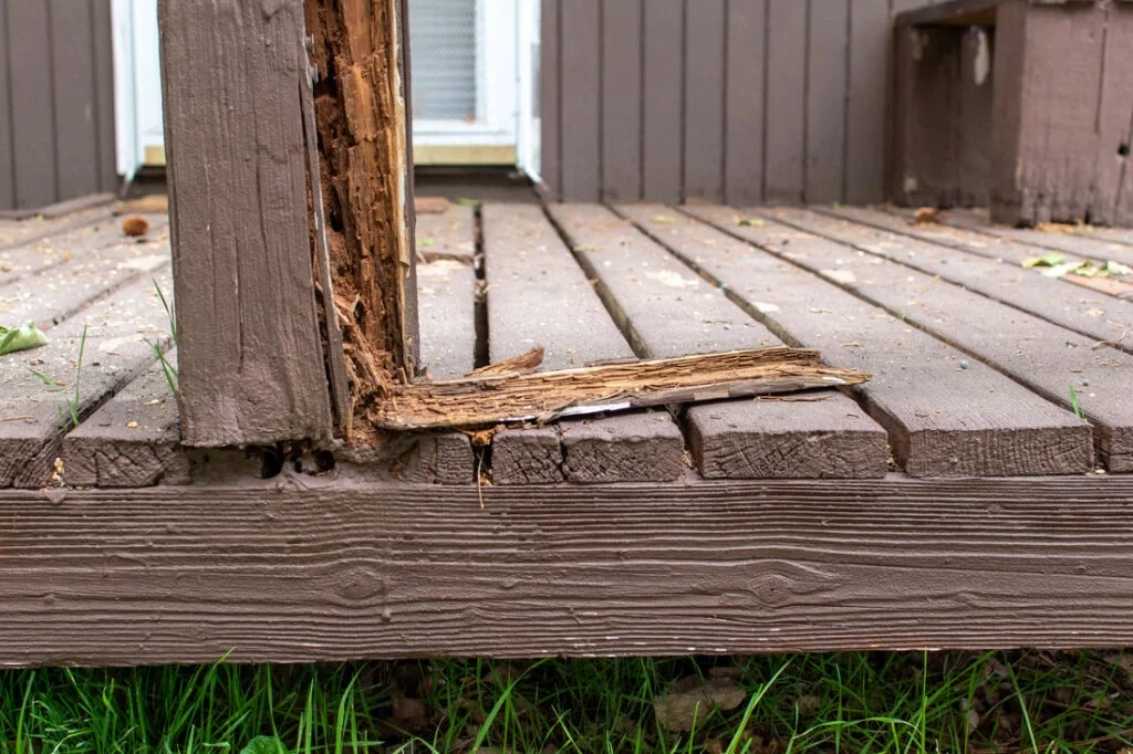 How Repair Rotted Deck Board? - Learn The Reasons intended for Save Your Deck from Rot by Fixing Small Cracks Early This Summer