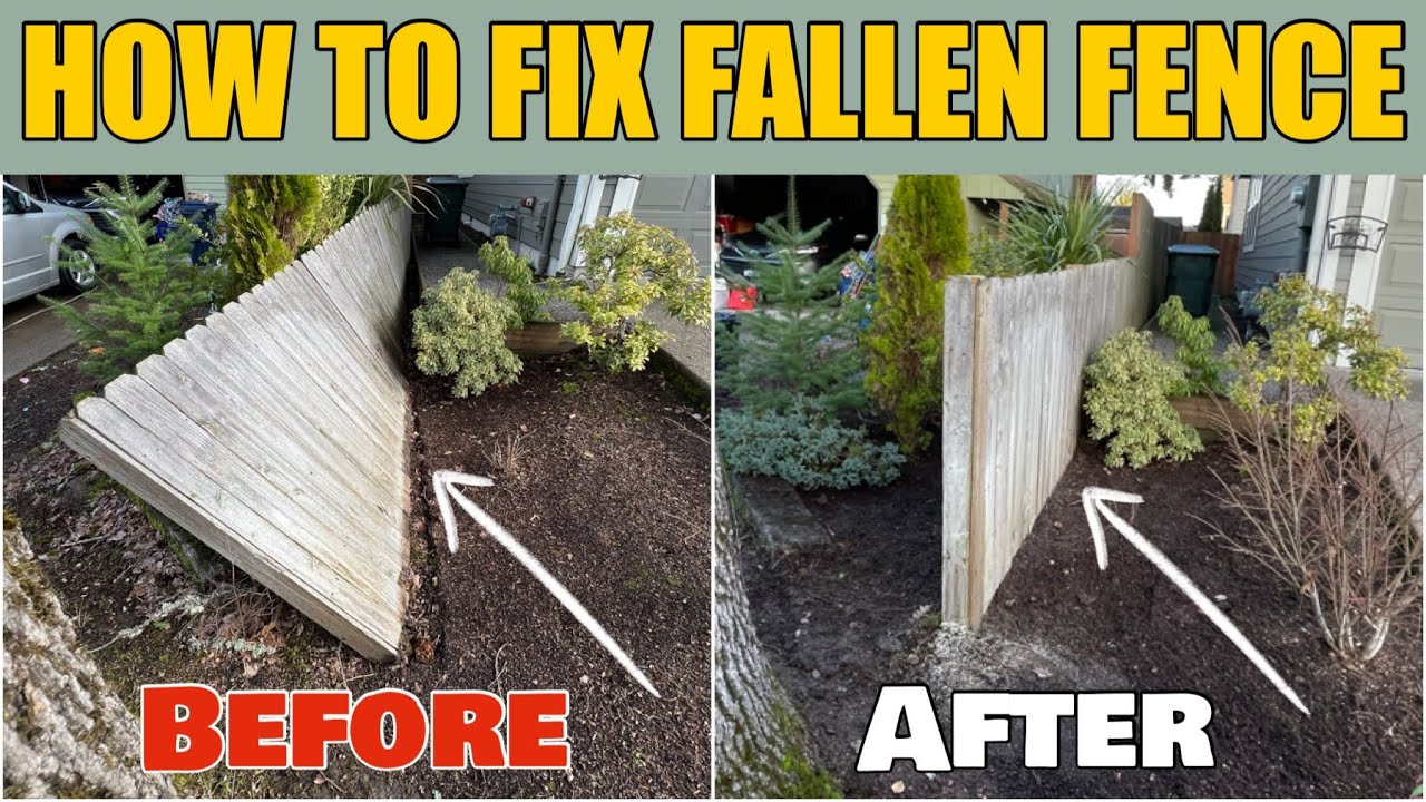 How To Repair A Rotted Deck Post Base At Gabrielle Green Blog pertaining to Why Your Fence Panels Are Loose and How to Fix Them Properly