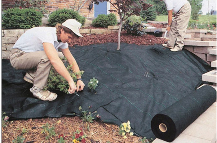 Preventing Weeds In Rock Mulch inside How Deep Should Landscape Rock Be