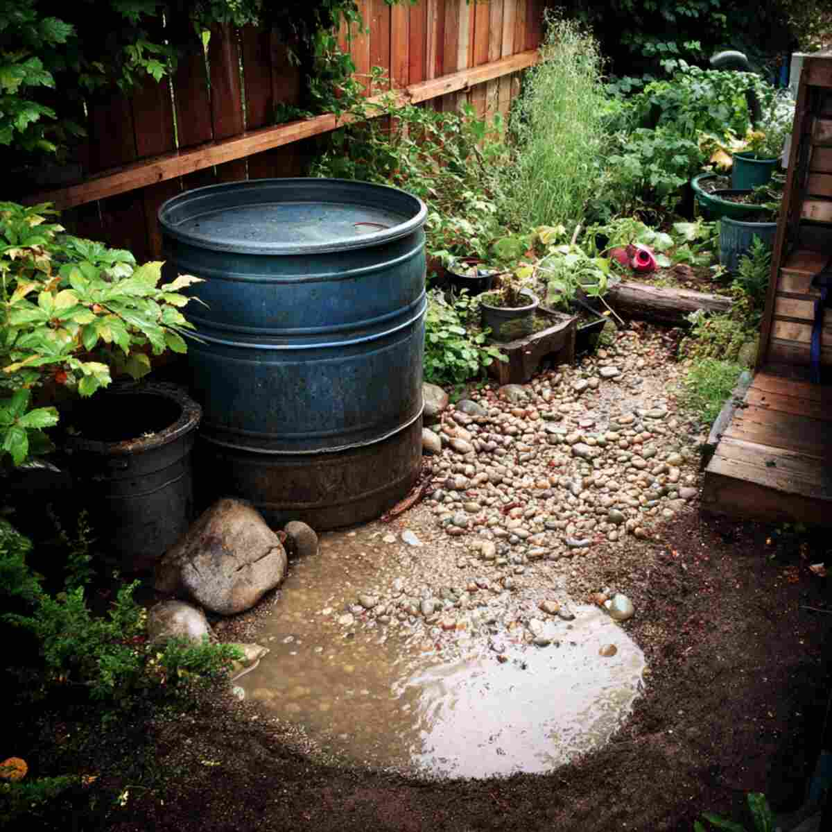 19 Diy Pollinator Mud Pits Ideas, Make Garden A Pollinator Magnet throughout Drainage For An Outdoor Shower
