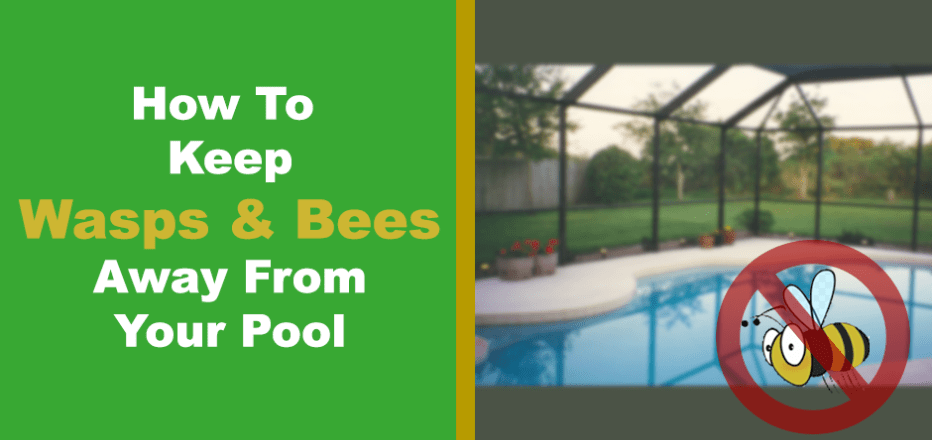 9 Ways To Keep Wasps And Bees Away From Your Swimming Pool | Swimming ... pertaining to How Do You Keep Wasps Away From A Swimming Pool