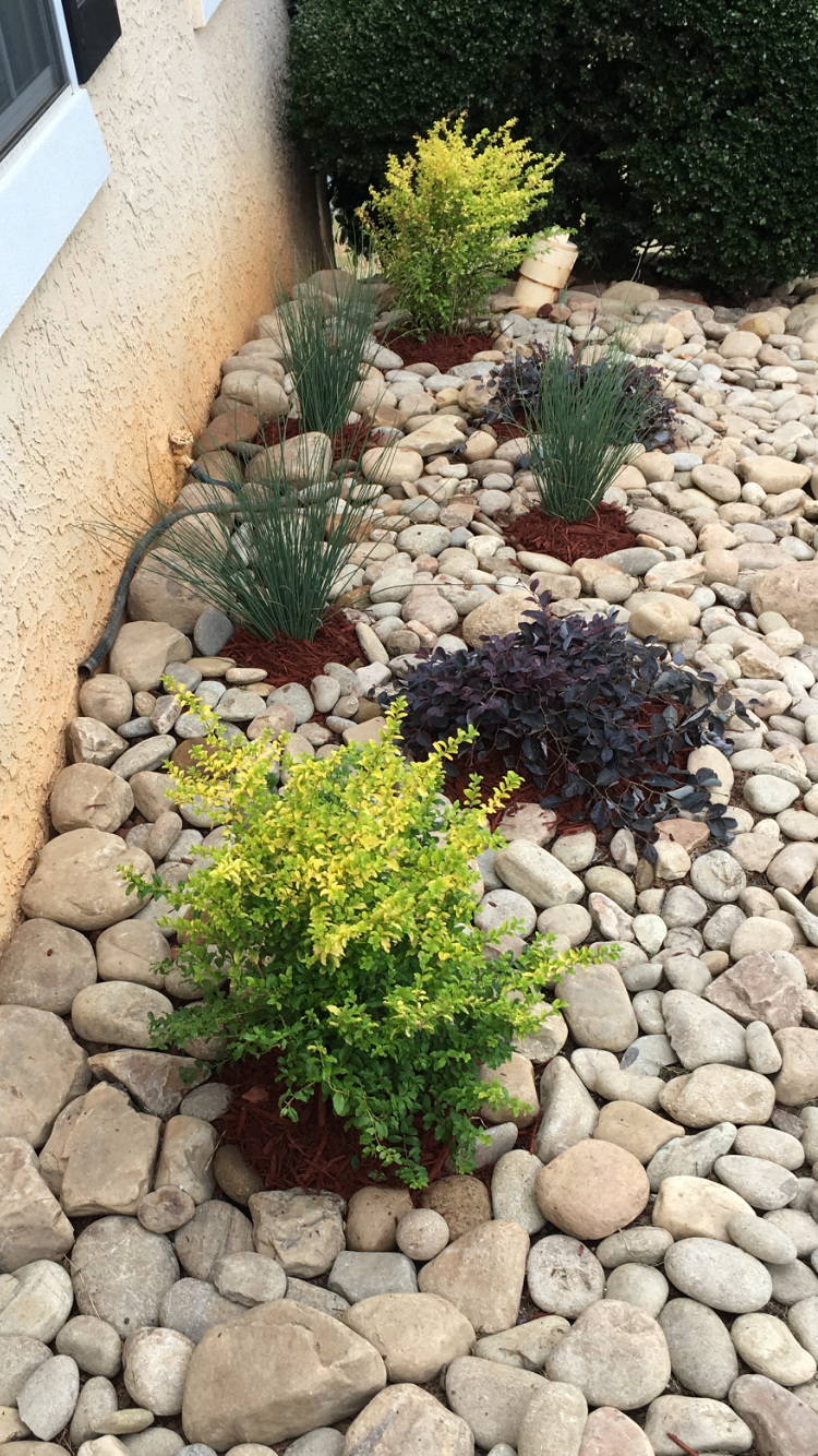 Best Plants To Grow In River Rock At Margaret Ratliff Blog with regard to River Rock Ideas For Landscaping