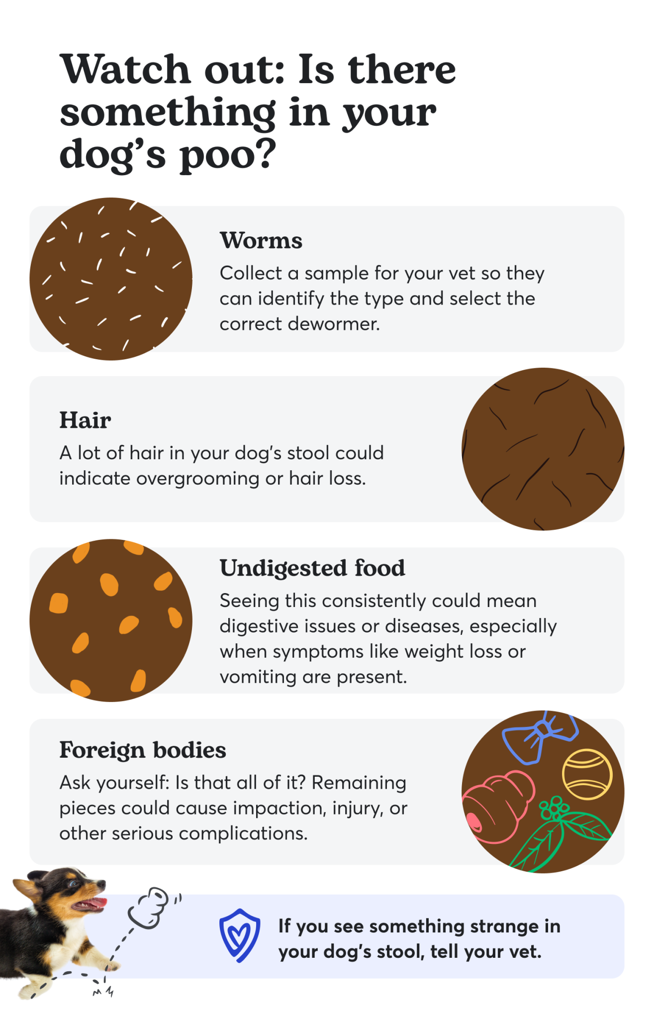 Dog Poop Chart: What Colour Should Healthy Or Unhealthy Poop Be? with What Happens to Your Yard When Dog Poop Left Untreated for Months