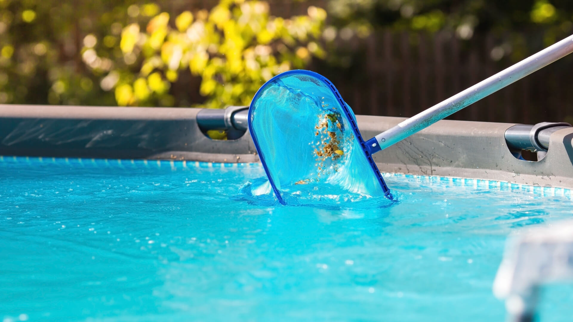 Effective Cleaning Of Swimming Pool Tools: Keep Your Gear In Top Shape regarding How To Keep Ducks Away From Swimming Pool
