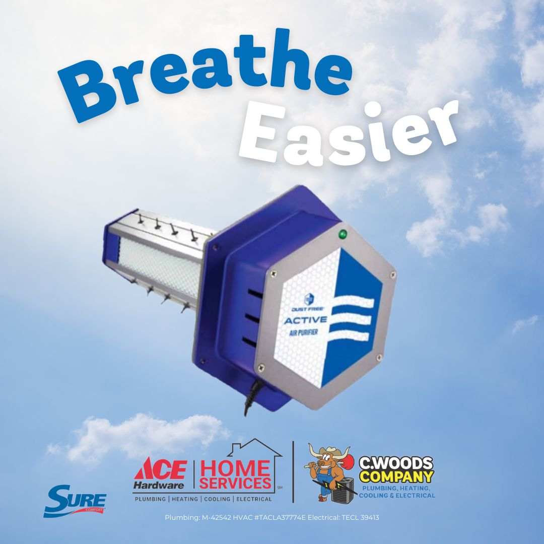 🌬️ Breathe Easier With An Air Purifier From C. Woods! Our High-Quality ... inside Breathe Easier by Removing Hidden Allergens from Your Outdoor Space