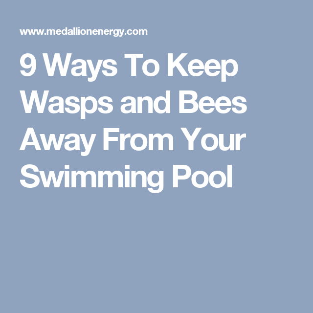 How Do You Keep Wasps Away From Your Swimming Pool At Johnny Duffy Blog regarding How to Keep Wasps Out of Your Pool Using Decoy Nests and Smart Landscaping