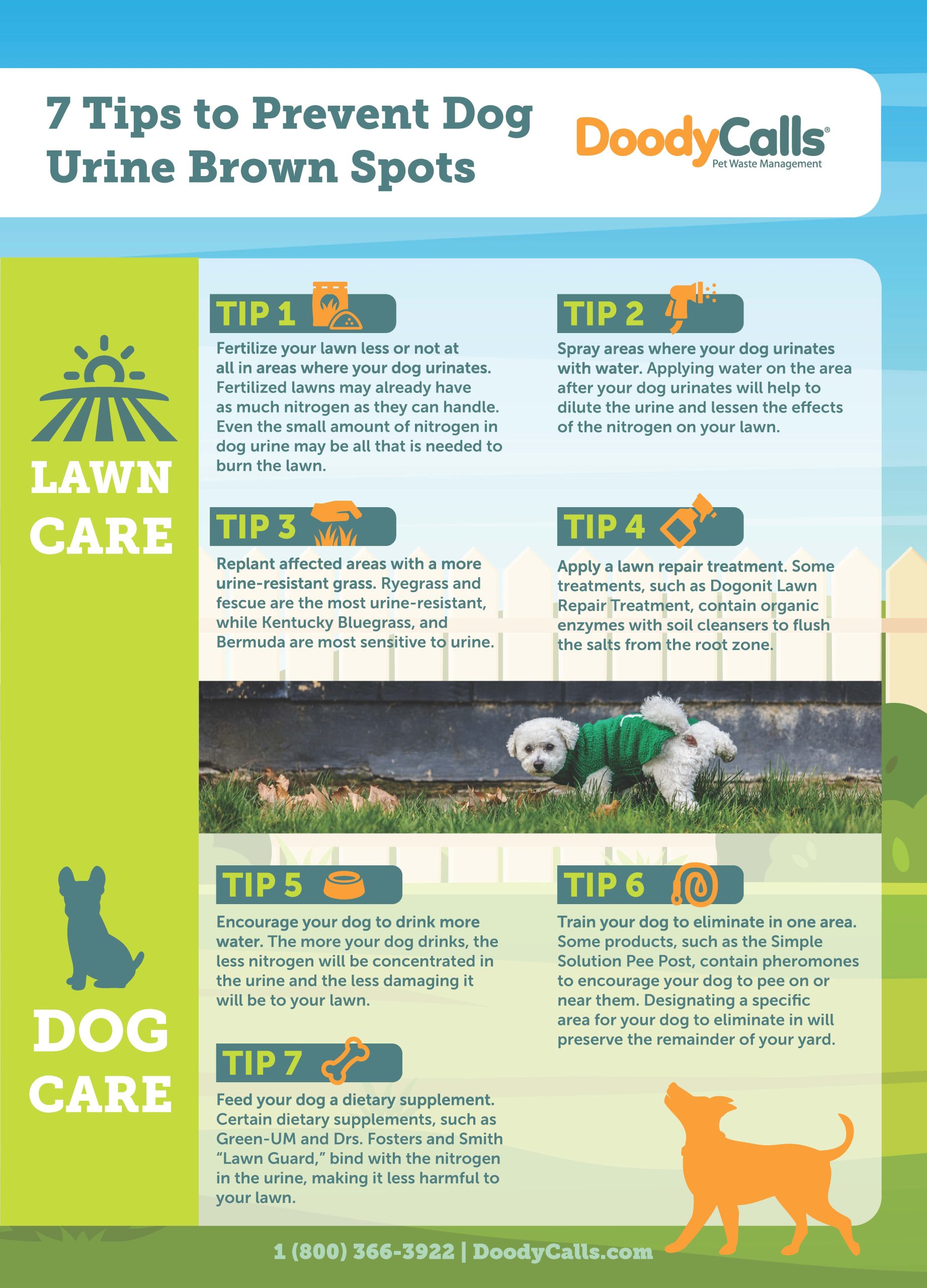 How To Get Dog Urine Out Of Yard At James Slone Blog within Stop Embarrassing Guests by Removing Dog Pee Smell From Your Lawn Today