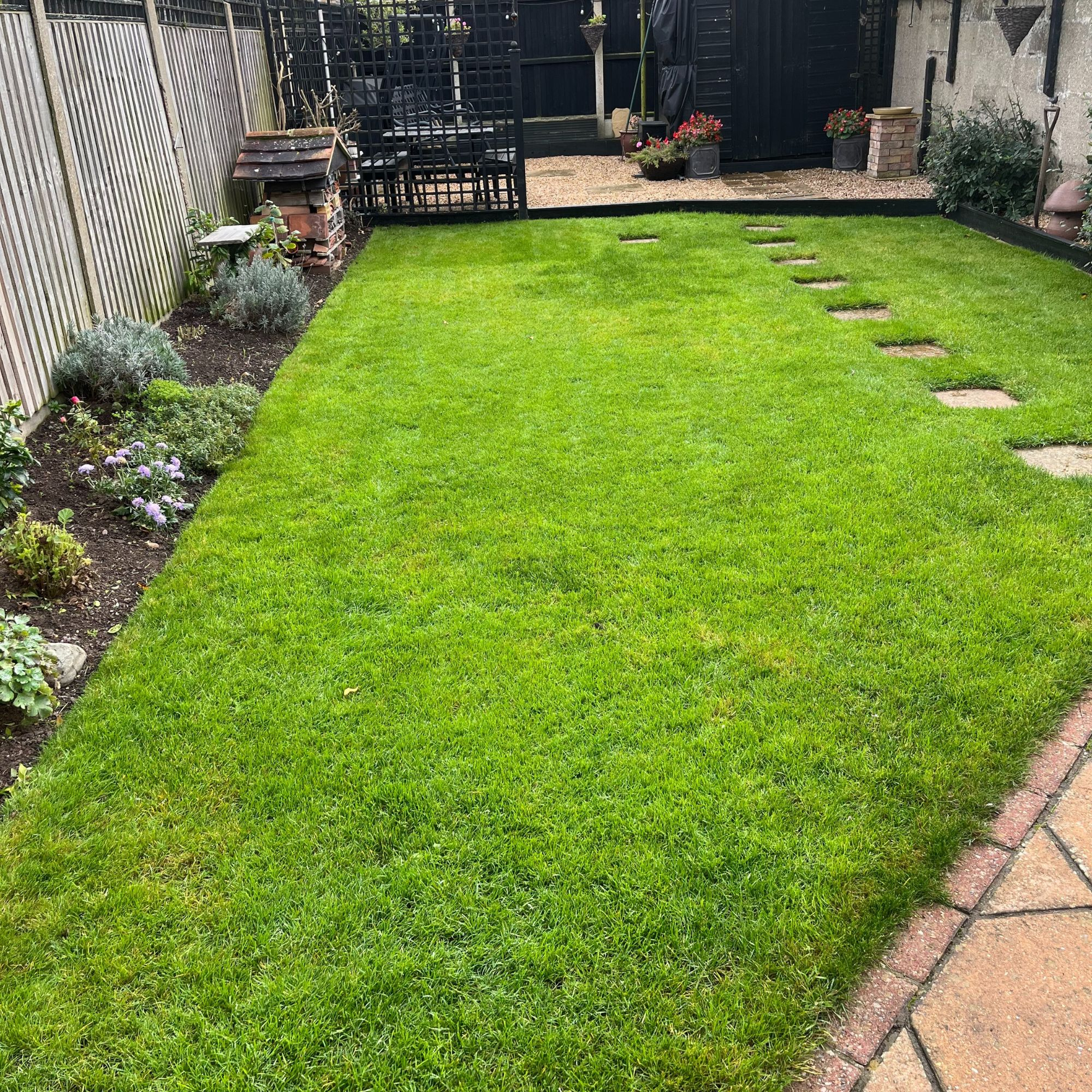 Lawn Looks Terrible for How To Flatten Dirt In Yard