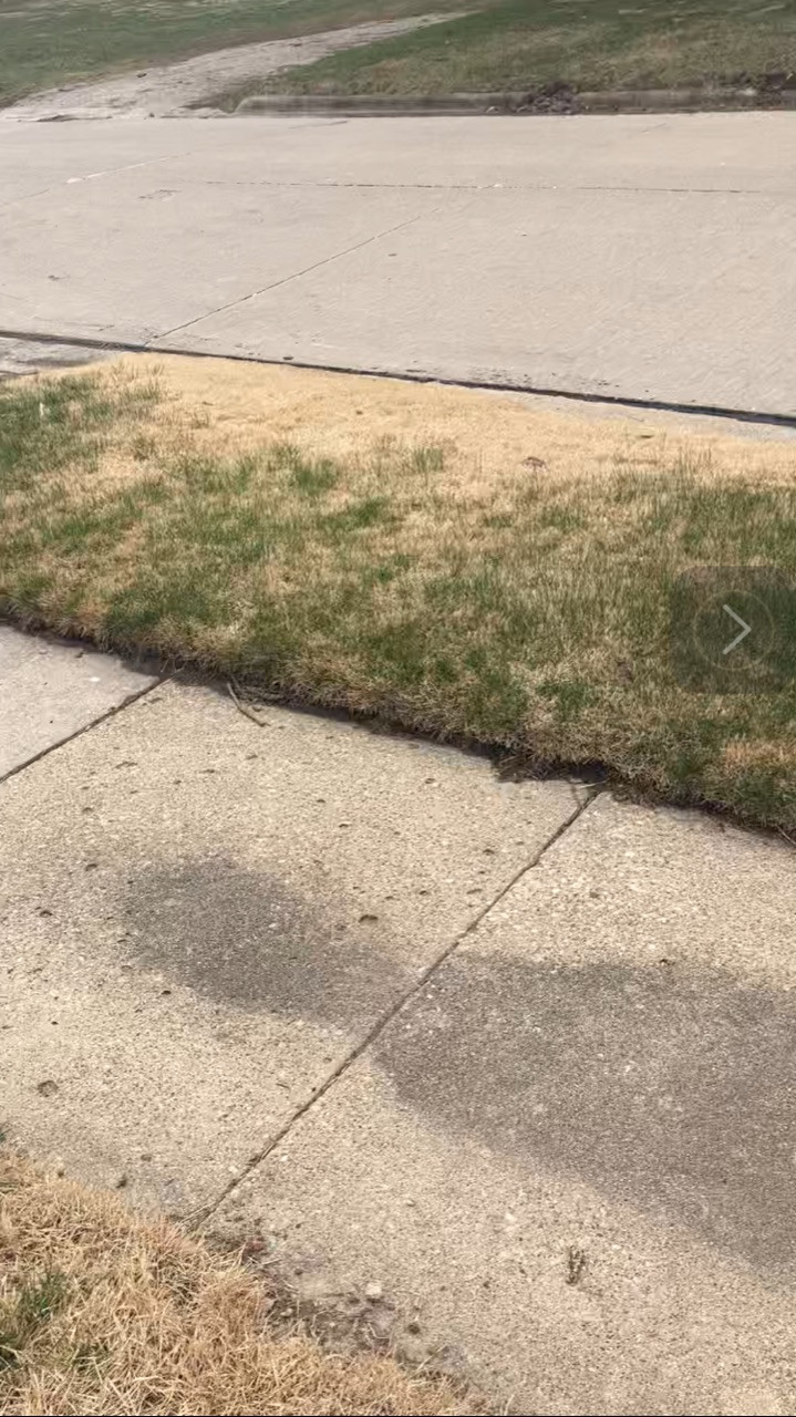 Lawn Looks Terrible inside How To Flatten Dirt In Yard