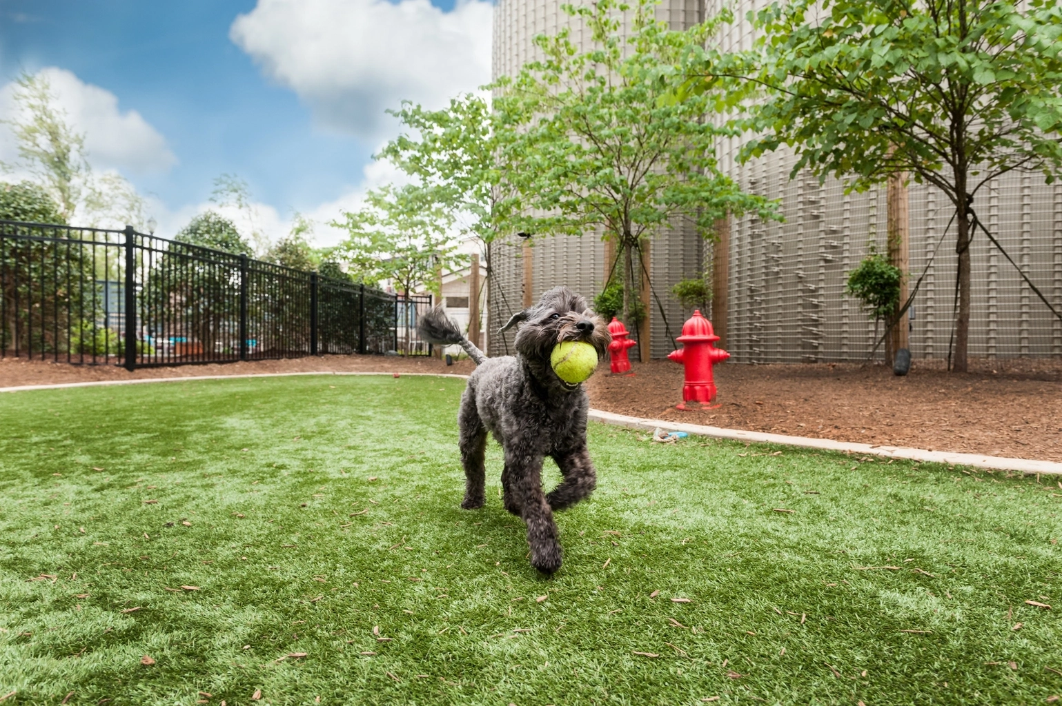 Removing Dog Urine Smell From Synthetic Grass: Ultimate Guide pertaining to Stop Embarrassing Guests by Removing Dog Pee Smell From Your Lawn Today