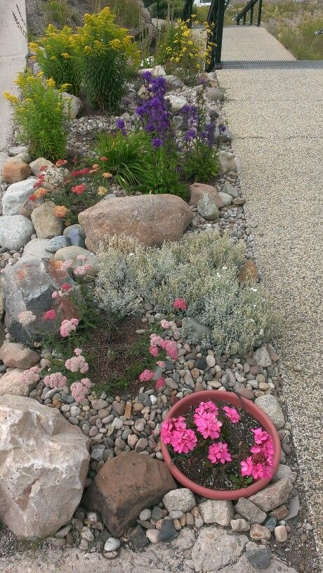 Tips For The Perfect River Rock Flower Bed – Artofit inside The Ultimate Guide to Foundation Planting with River Rocks and Vibrant Flowers