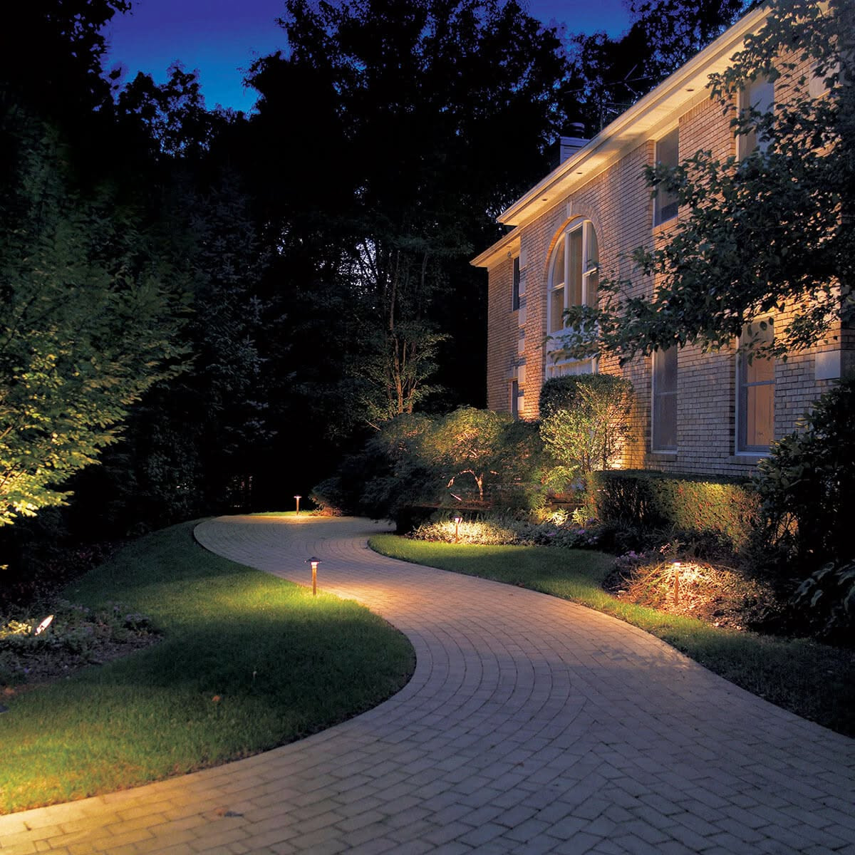 How Professional Landscape Designers Illuminate Backyards After Dark