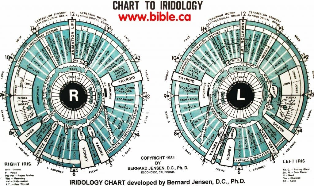 12 Best Iridology Charts+Left Eye Chart+Right Eye Chart - Maikong ... intended for Using Deck Screws For Composite Decking