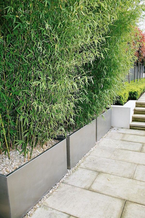 73 Outdoor Privacy Screens You'll Like - Shelterness regarding Tiered Outdoor Plant Stand