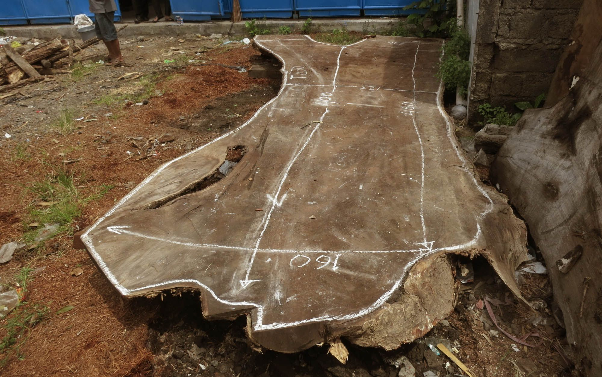 Acacia Wood Pros And Cons At Sophia Debra Blog within Why Your Backyard Might Need Acacia Wood This Year