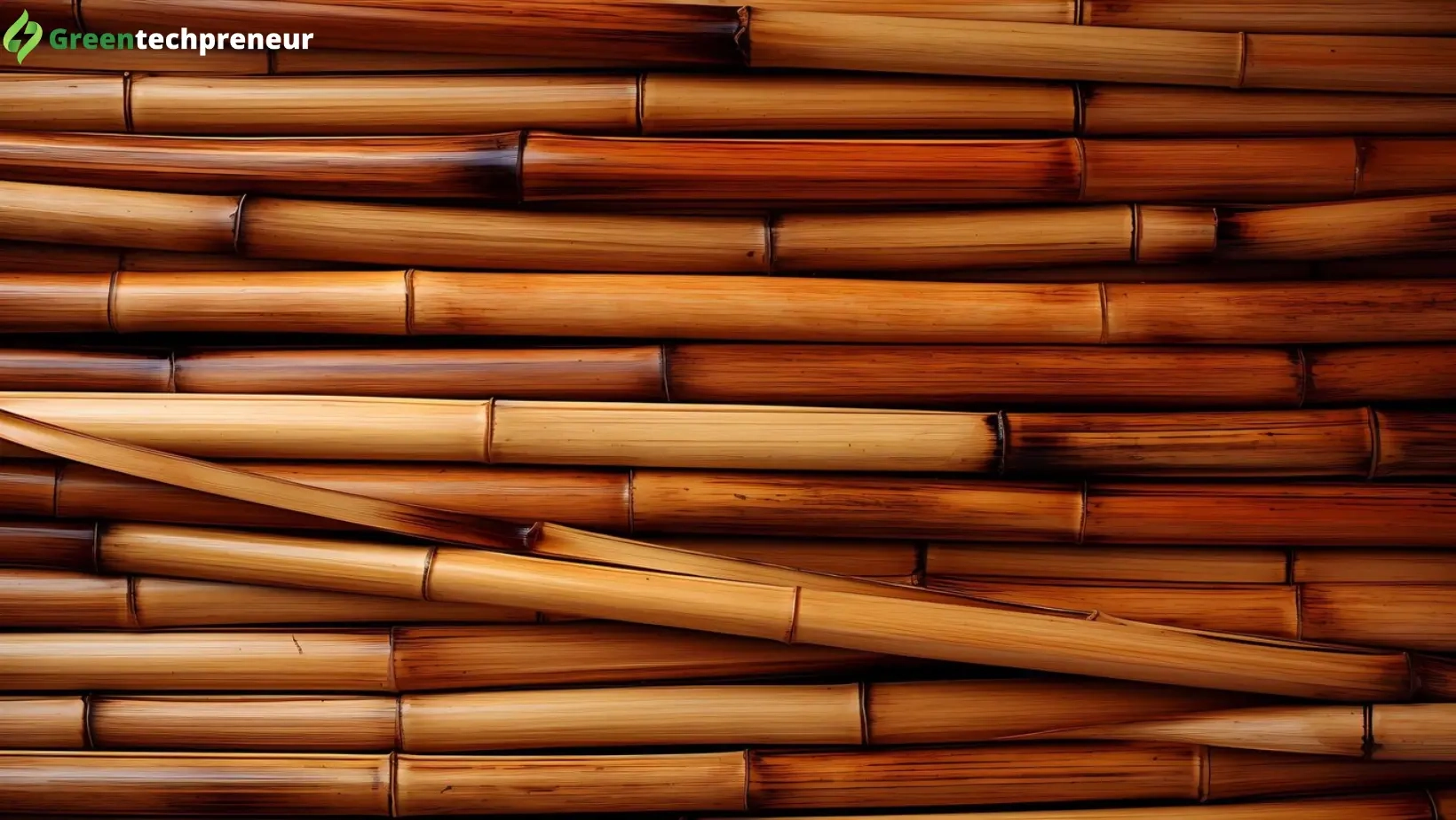 Build Green: 10 Eco-Friendly Materials pertaining to How Everyday Materials Like Bamboo and Reclaimed Wood Weather the Elements Naturally