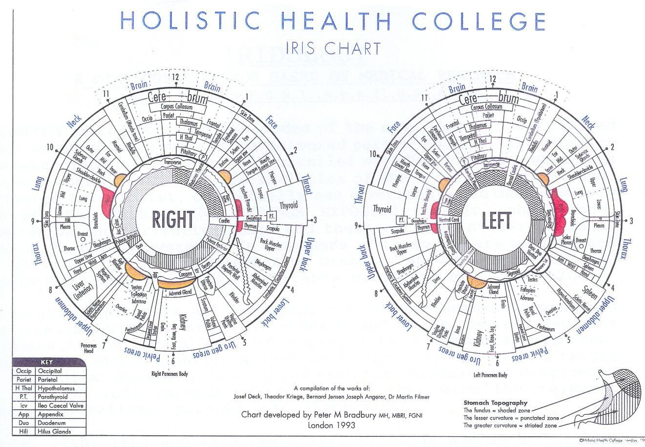 Iridology Review- How To Read Your Eyes For Health – دوربین ایریدولوژی ... with The hidden mechanics behind choosing the right screw for your outdoor living space