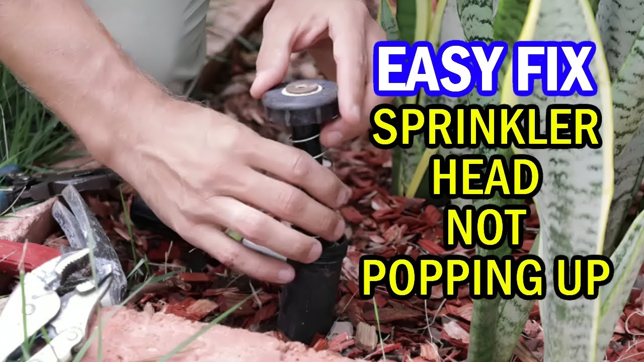Stop Head Pop And Mushrooming Before It Ruins Your Outdoor Living Space