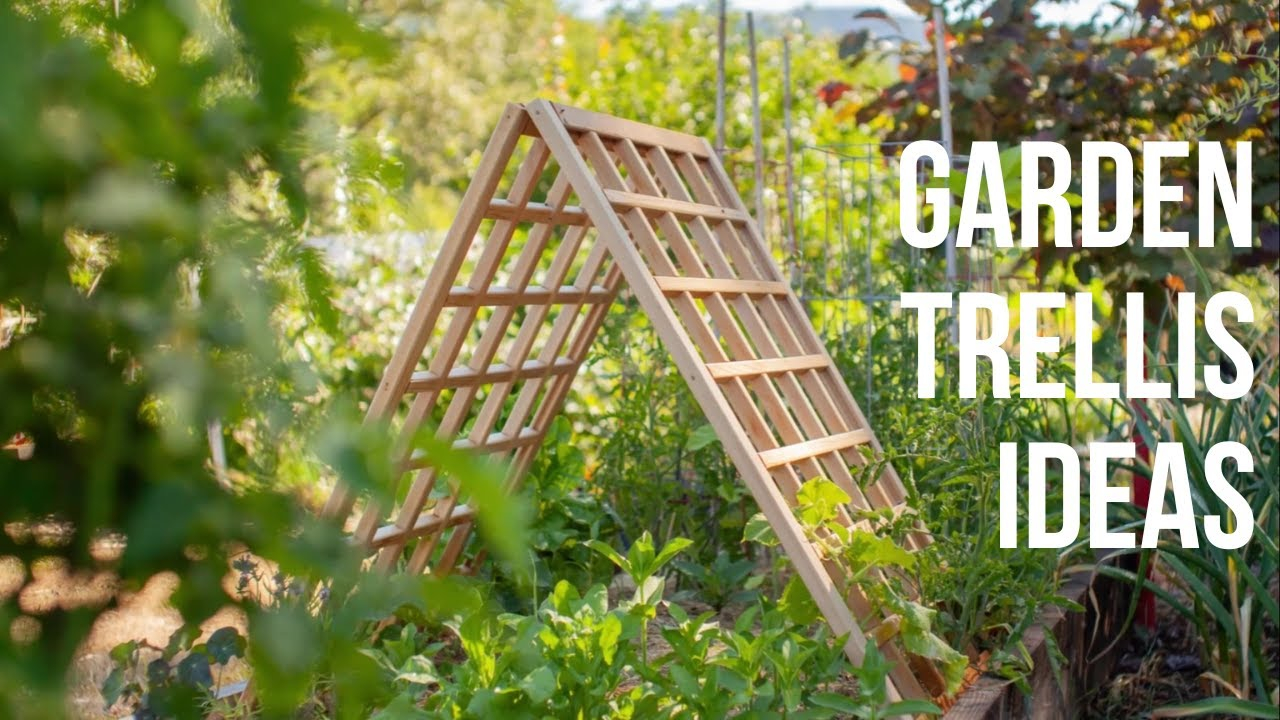 The Complete Garden Trellis Guide: Wood, Metal, Bamboo And More…Episode ... throughout Tiered Outdoor Plant Stand