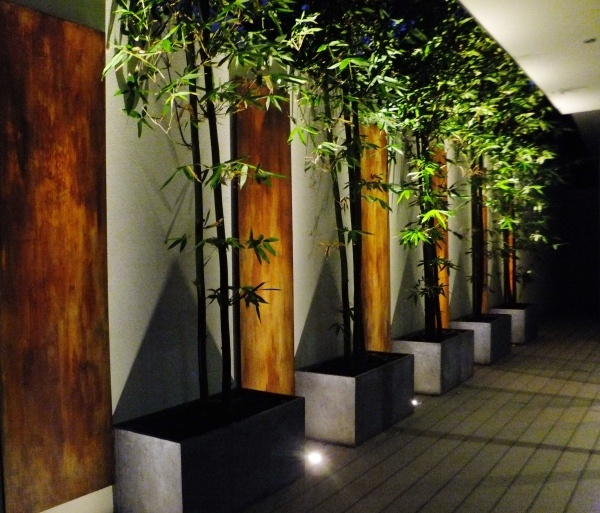 Zinc Planters And Bamboo Trees In Small Garden inside How Master Gardeners Choose Between Wood Metal and Bamboo for Outdoor Plant Displays
